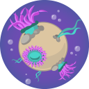 Anemone Planet icon