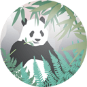 Panda Valley icon